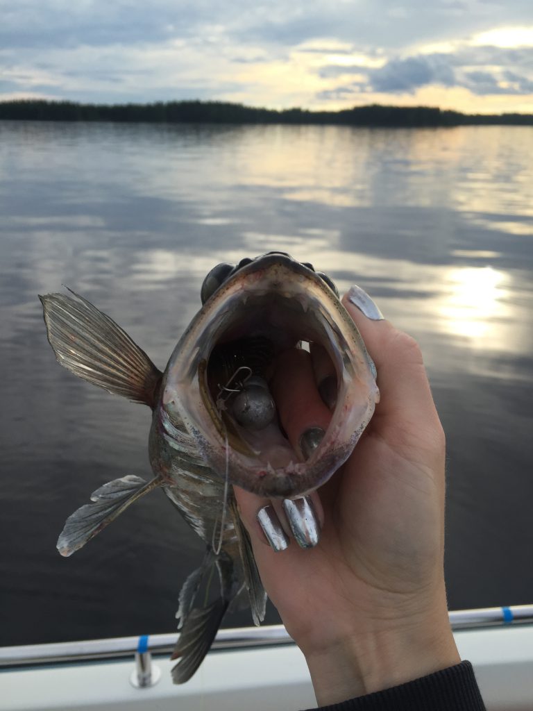 Söin syvälle, koska maistui hyvälle